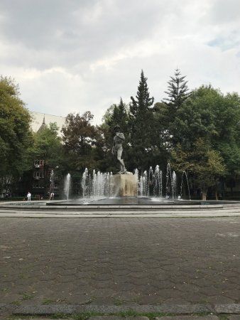 Museo Casa Carranza